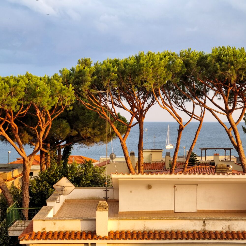 29.Botticelli Office View