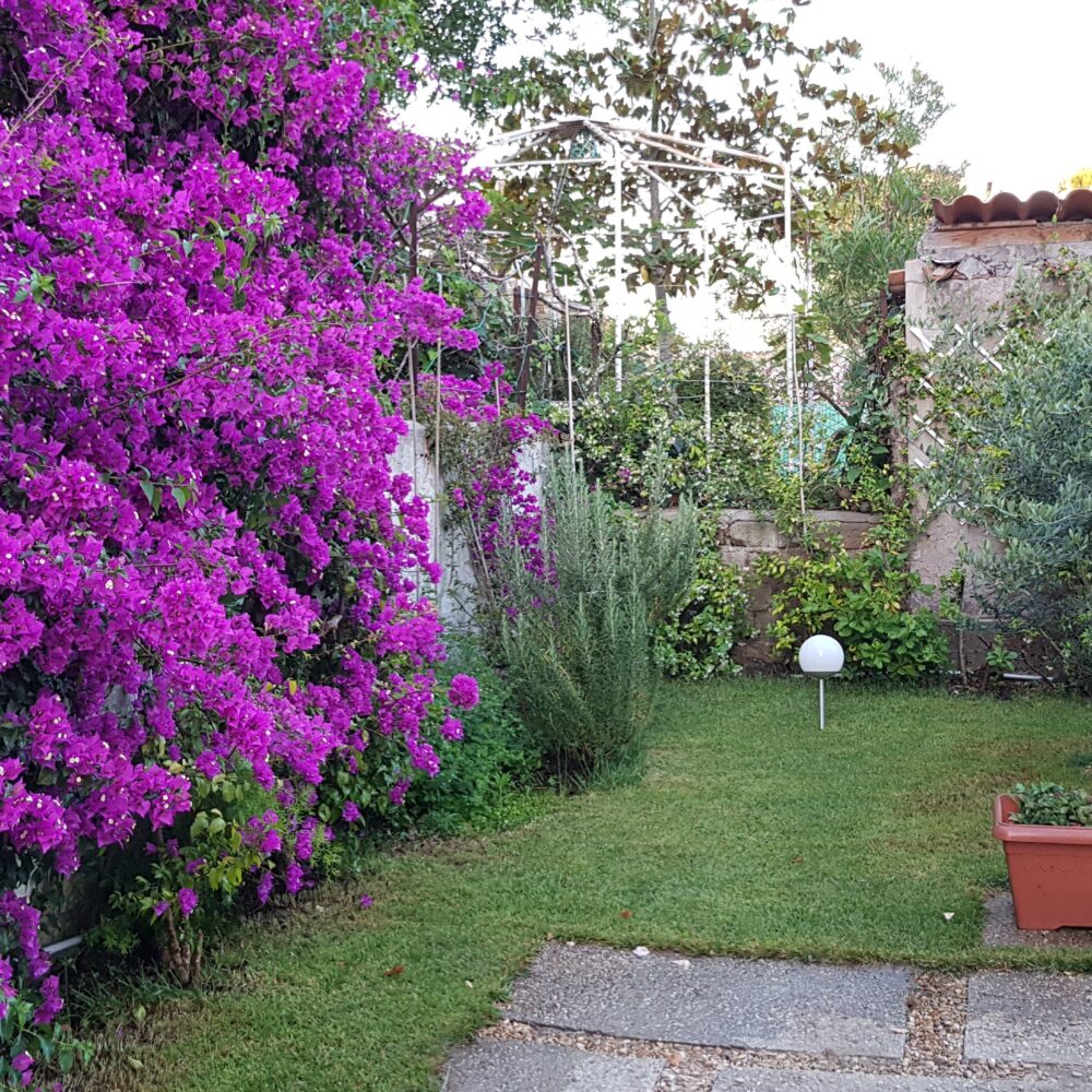 3.Botticelli Front Garden
