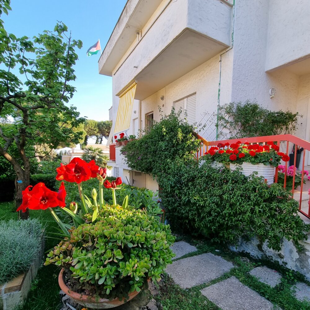 5.Botticelli Front Garden5